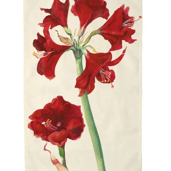 Emma Bridgewater Amarlyis Tea Towel
