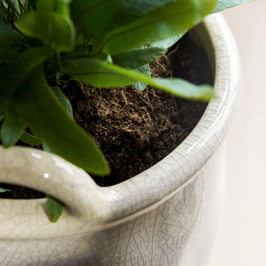 Garden Trading Ravello 19cm White Rounded Pot