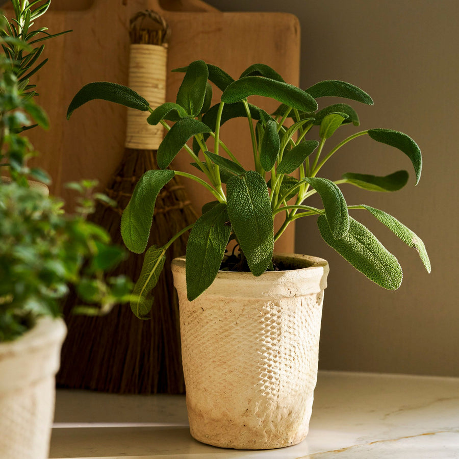 Garden Trading Dursley Textured 10.5cm Stone Pot