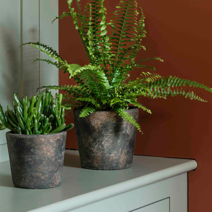 Garden Trading Antique Brown 15cm Radstock Pot