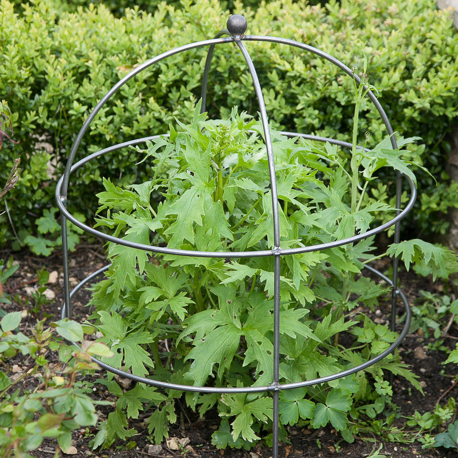 Garden Trading Barrington Large Domed Plant Support