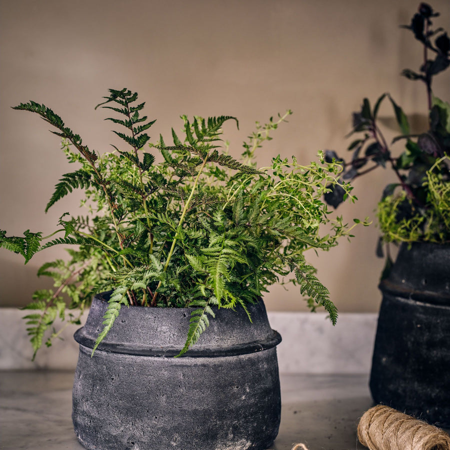 Garden Trading Farleaze 22cm Sack Pot
