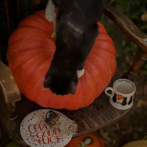 Emma Bridgewater Halloween Toast God Luck Charm 6.5" Side Plate