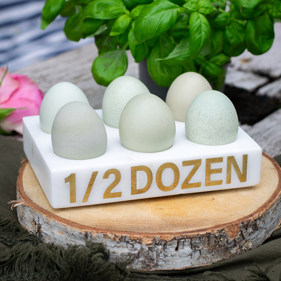 Culinary Concepts Half Dozen Marble Egg Holder