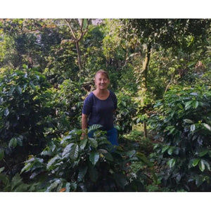 Well Roasted Mexican Coffee - All
