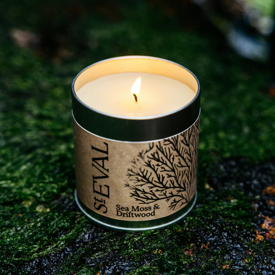 St. Eval Sea Moss & Driftwood Tin Candle