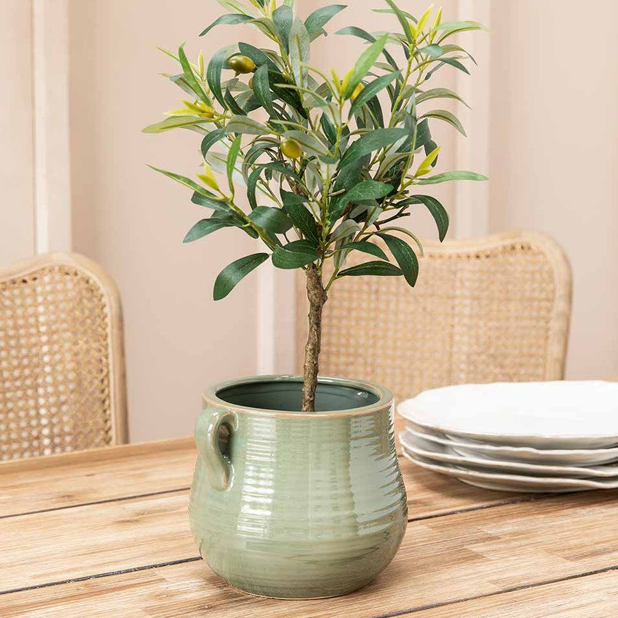 Garden Trading Rosemary 15cm Mills Pot
