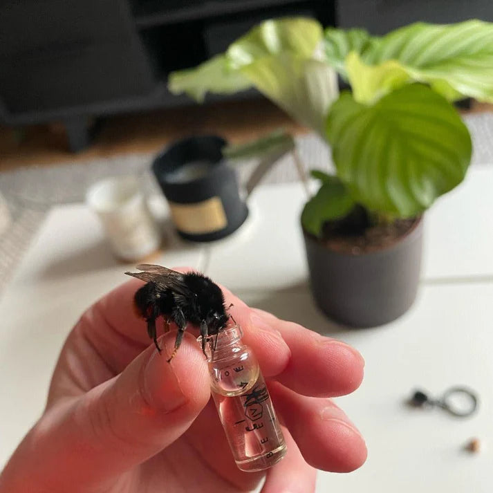 Beevive Rose Gold Revival Kit