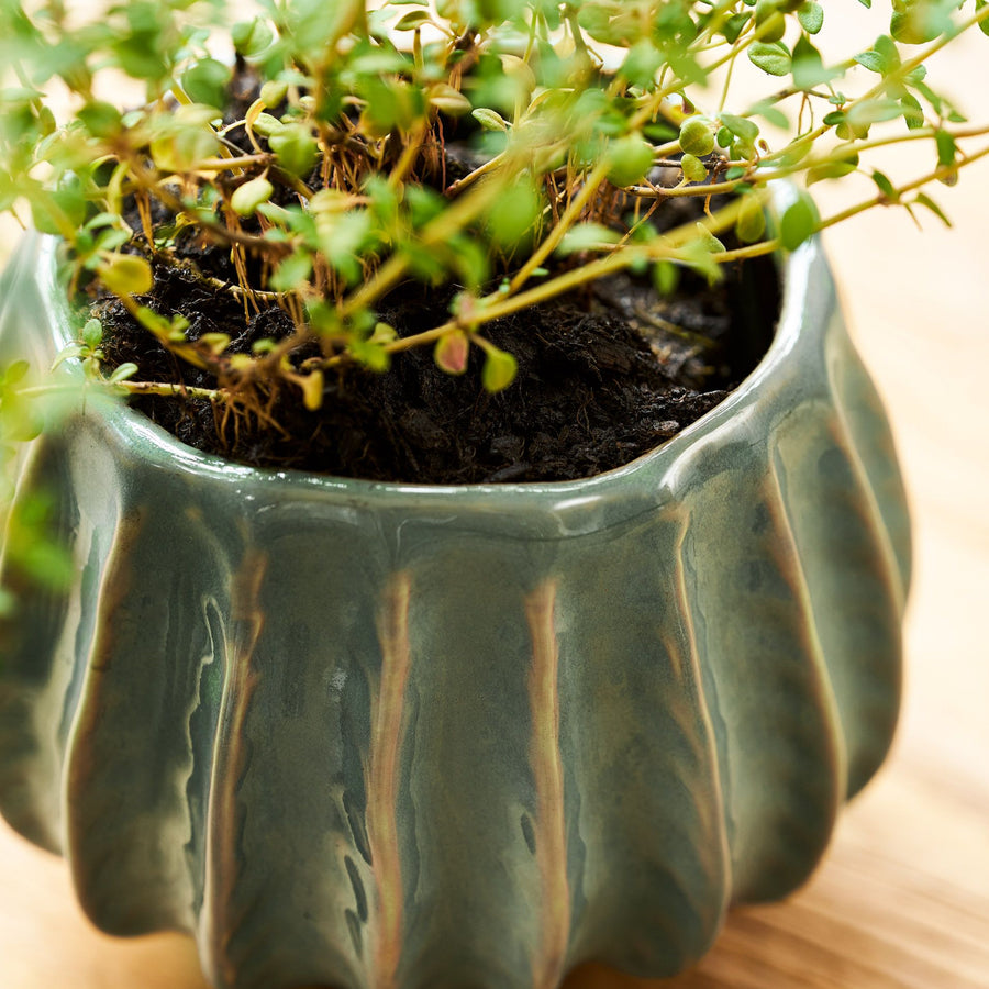 Garden Trading Osmington 14cm Rosemary Pot