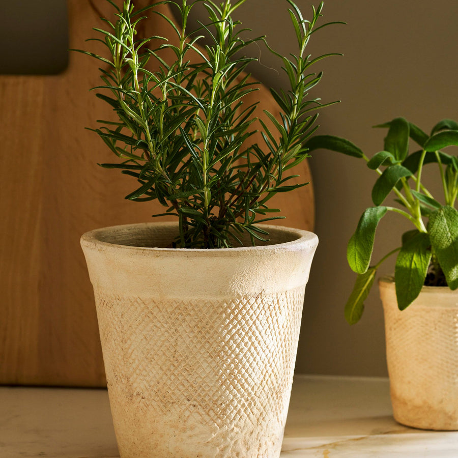 Garden Trading Dursley Textured 17cm Stone Pot