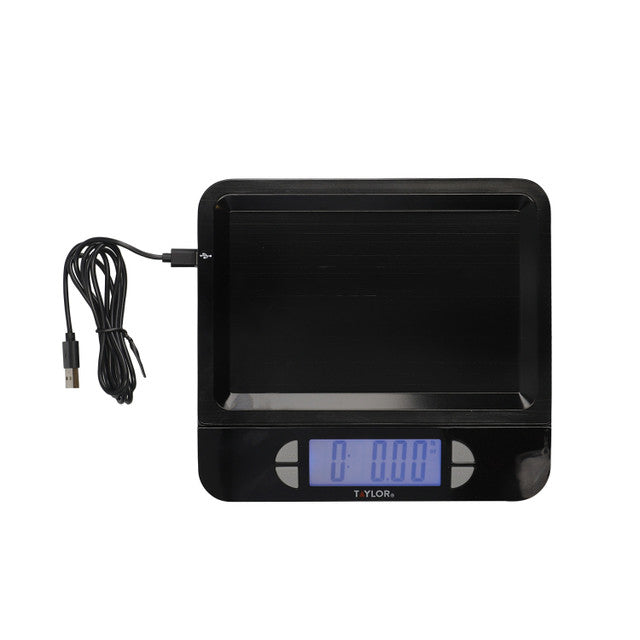Taylor Pro Accurate USB-Rechargeable Kitchen Scales