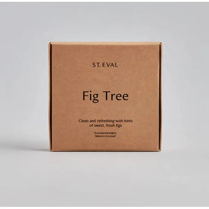 St. Eval Fig Tree Candle Collection