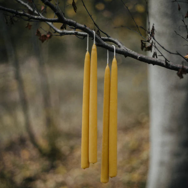 Wild Botanist Beeswax Tapers