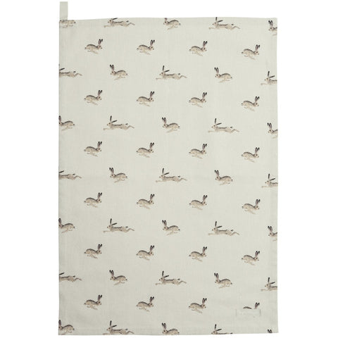 Sophie Allport Hare Collection